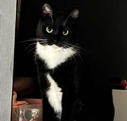Photo of Gigi