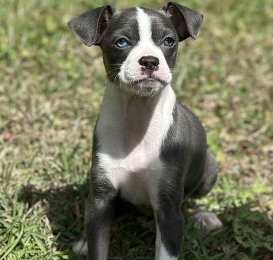 Photo of Lila