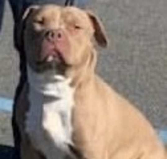 Photo of Zeus