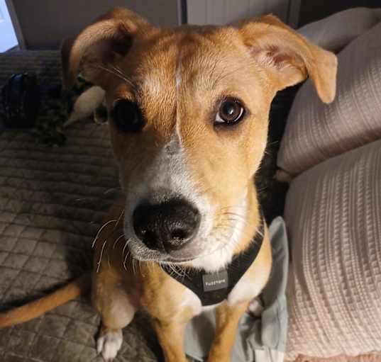 Photo of Holly