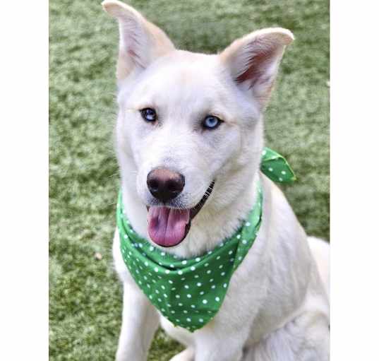 Photo of ZIGGY