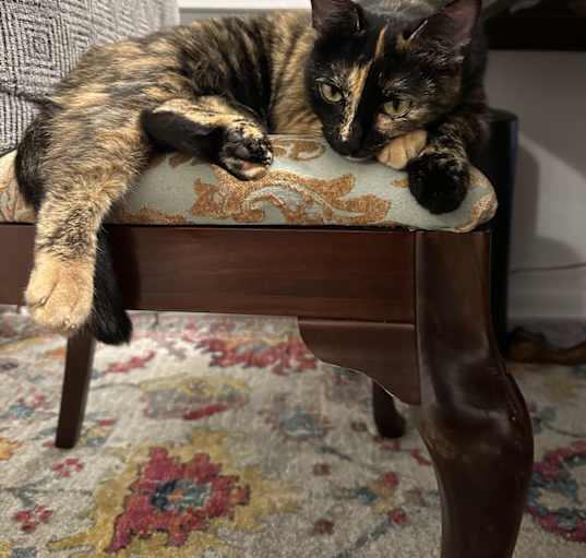 Photo of Scully