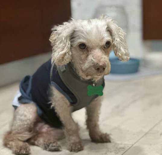 Photo of Lilly