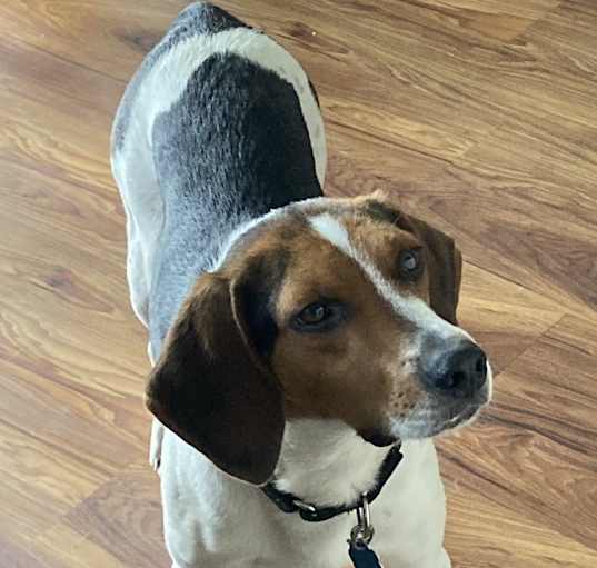 Photo of Walter