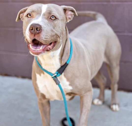 Photo of Belle