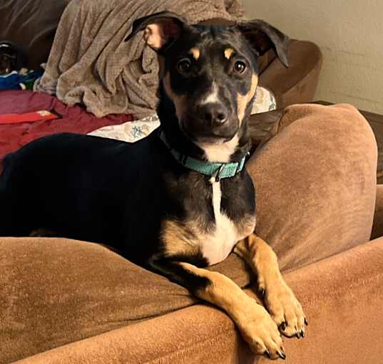 Photo of Tucker 