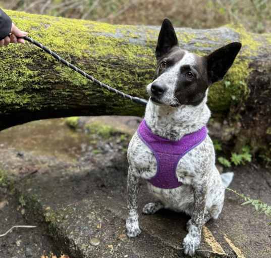Photo of Zoe