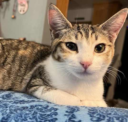 Photo of Noelle