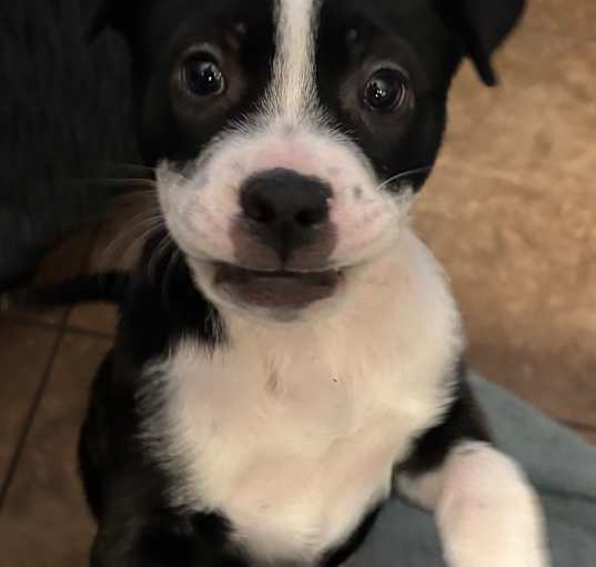Photo of Lucy