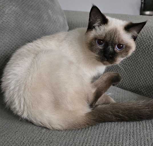 Photo of Ulysses