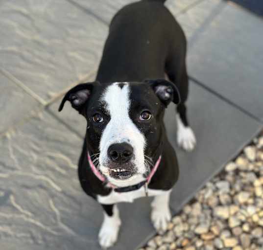 Photo of Betty