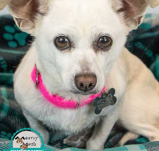 Photo of Annalise
