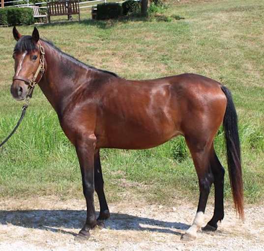 Photo of RIDDLE