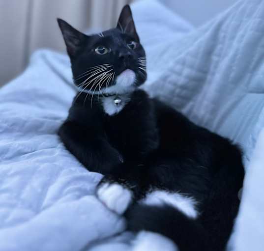 Photo of Lulu