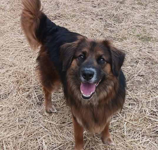 Photo of Charlie