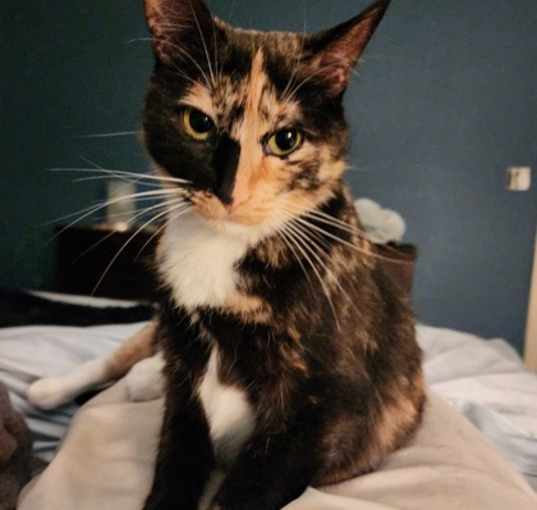 Photo of Coco