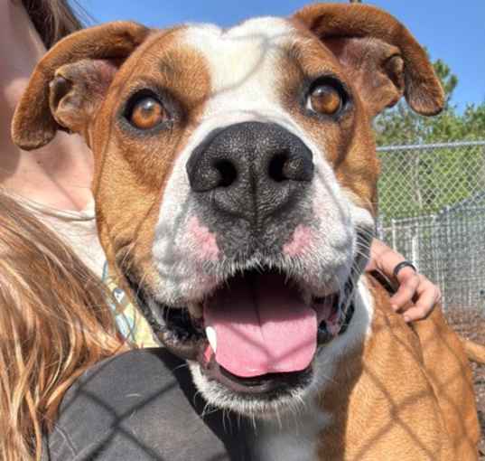 Photo of Murphy