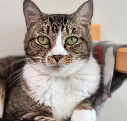 Photo of Boots