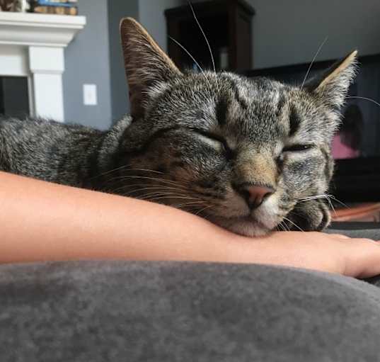 Photo of Asher