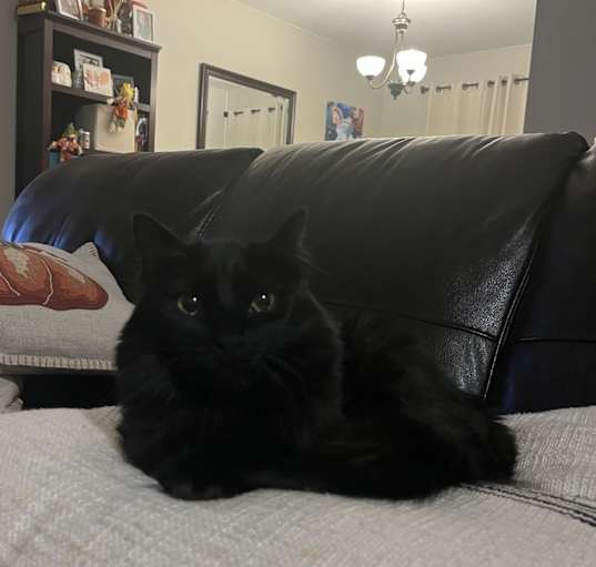 Photo of Daisy
