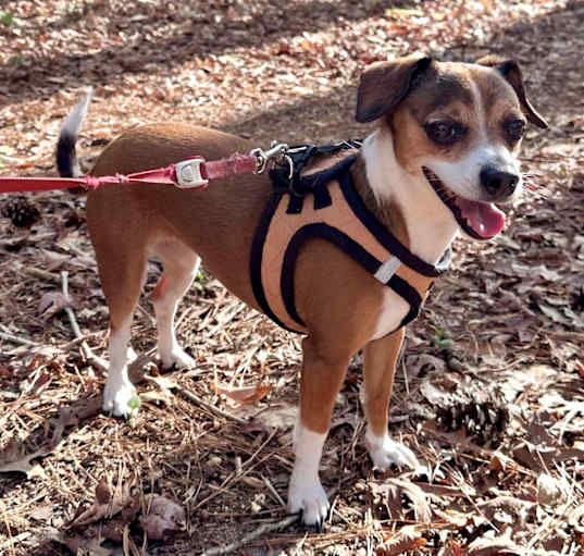 Photo of Chloe