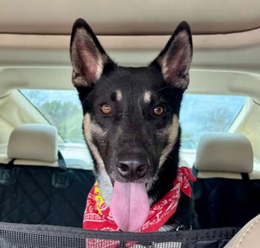Photo of Champ