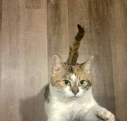 Photo of Kat
