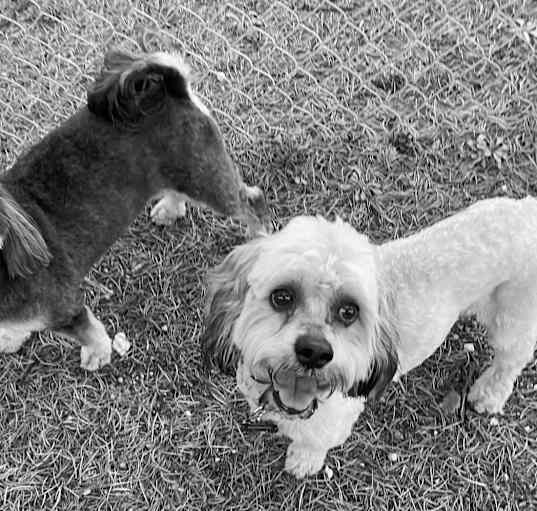 Photo of CHAZ & KAI
