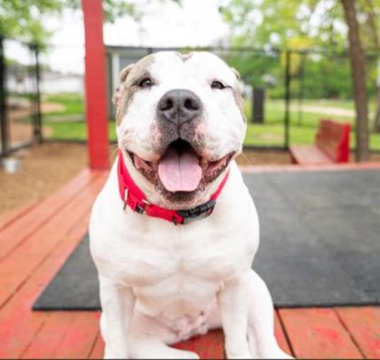 Photo of Sweetie