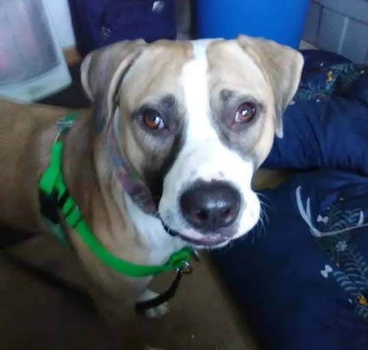 Photo of Bingo