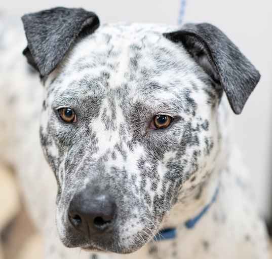 Photo of BONNIE-29175