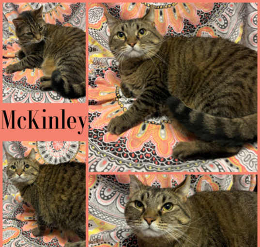 Photo of McKinley