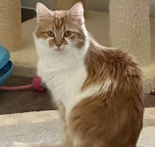 Photo of Olivia