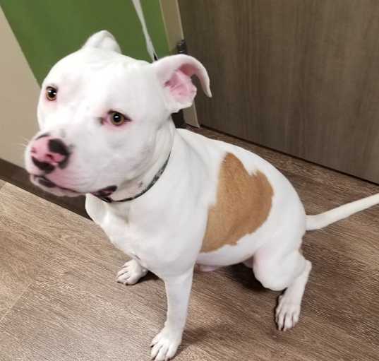 Photo of Oakley