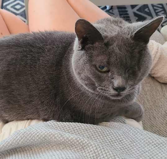 Photo of Little Miss
