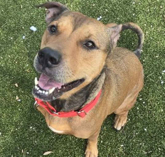Photo of BERTHA