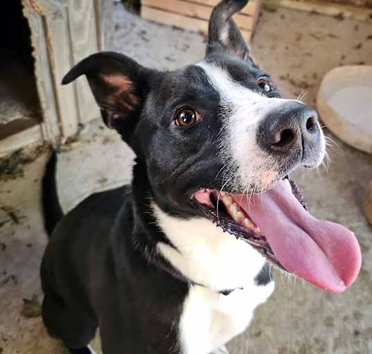Photo of Xena