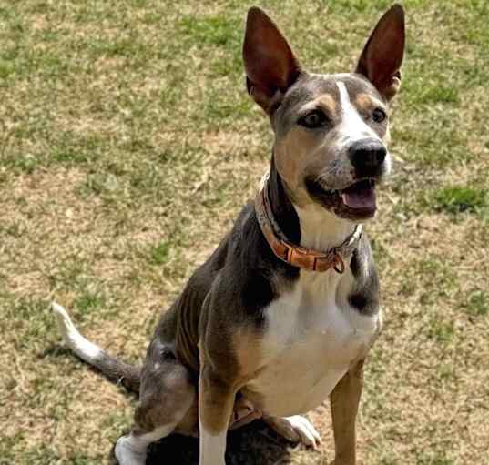 Photo of Sammie