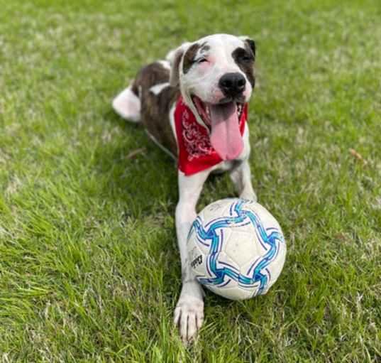 Photo of Benz