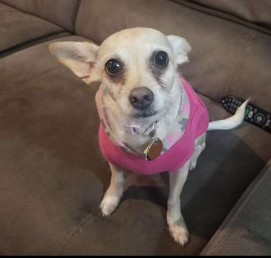 Photo of Bonbon