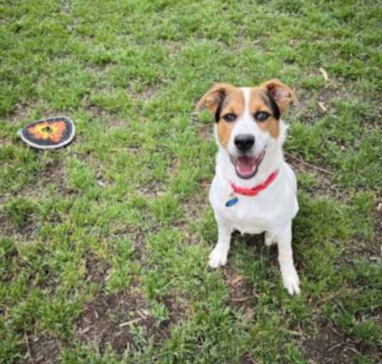 Photo of COOPER