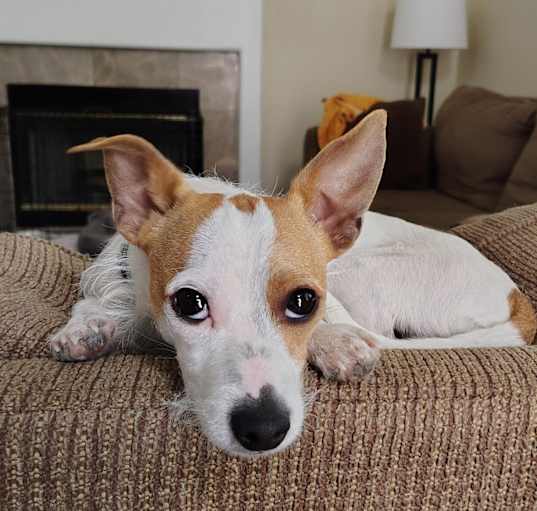 Photo of Ricky