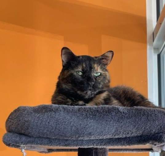 Photo of Matilda