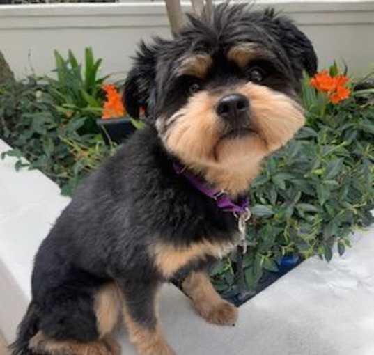 Photo of FINLEY