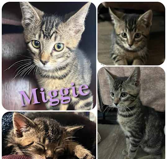 Photo of Miggie