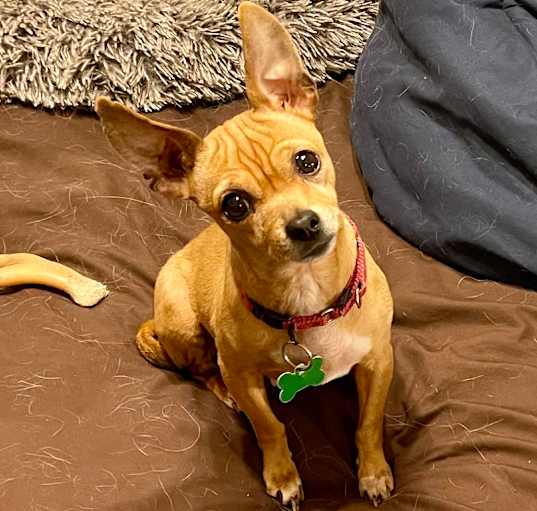 Photo of Winnifred