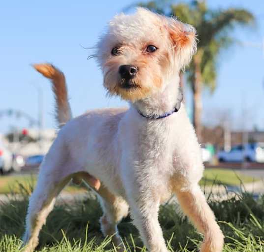 Photo of Barnum