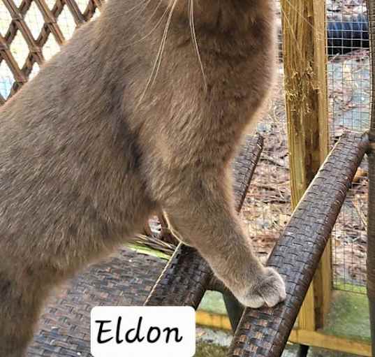 Photo of Eldon