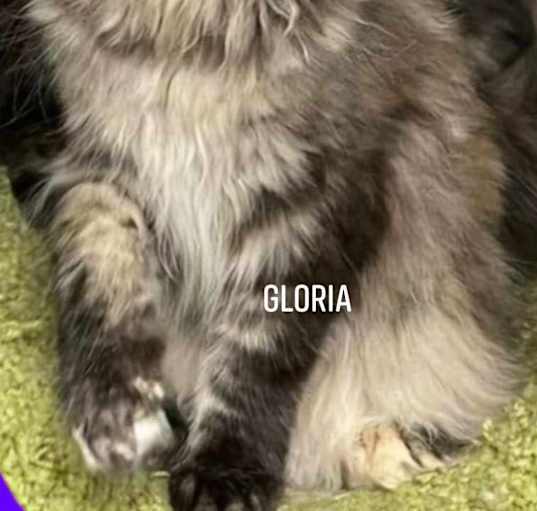 Photo of Gloria