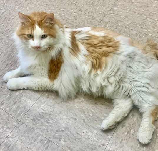 Photo of Moocher